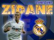 ������� ����� - ���������� ���� �����