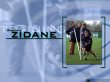 Зинедин Зидан - футбольные обои Франции