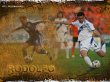 �������� - ���������� ���� ������ �